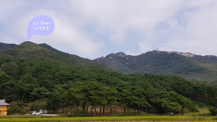 대전 계룡산 연천봉 등산기 (브이쿨 카맥스)