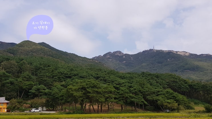  대전 계룡산 연천봉 등산기 (브이쿨 카맥스)