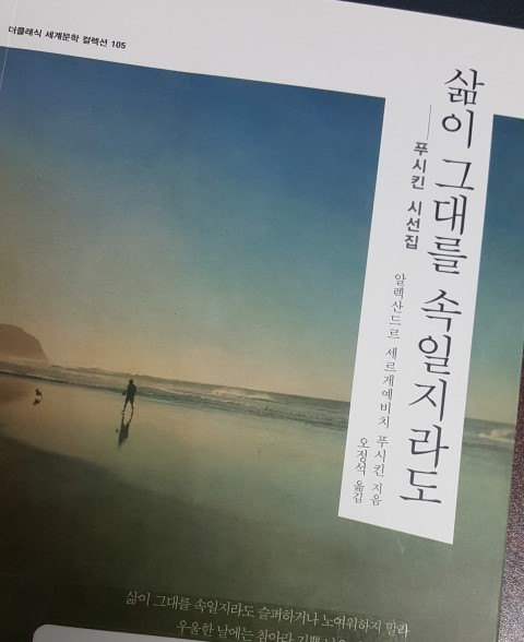  [도서] 삶이 그대를 속일지라도