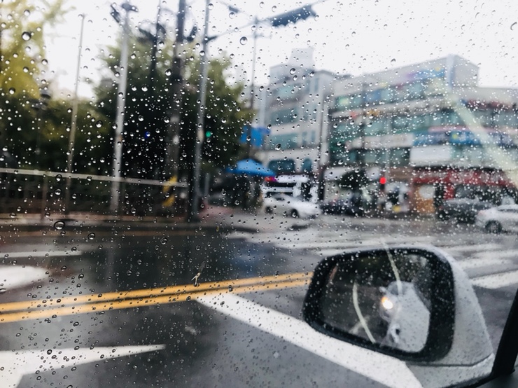  먹거리..먹거리..