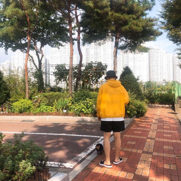  주말일기