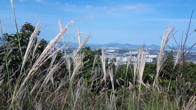  인천대간 반종주, 계양산~중구봉~천마산~원적산~함봉산 구간 산행