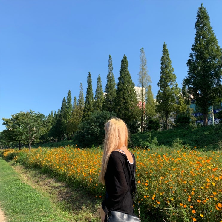9월 일상 랜덤 (데일리룩, 알바생, 고양이, 스무살, 먹방) 9월 일상 랜덤 (데일리룩, 알바생, 고양이, 스무살, 먹방)