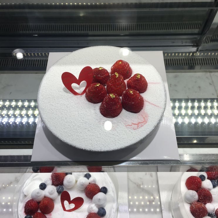  프로바이오틱스 똥균 빠연