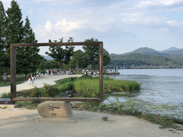  [양평] 두물머리 연핫도그 & 연꽃 구경