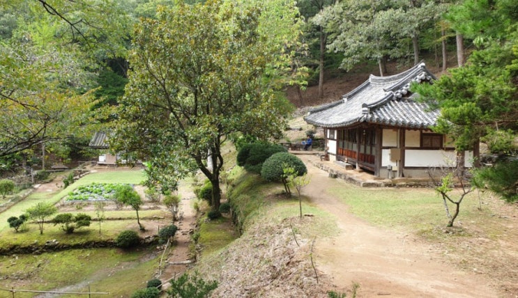  법정 스님과 불일암 그리고 삶(그림책)