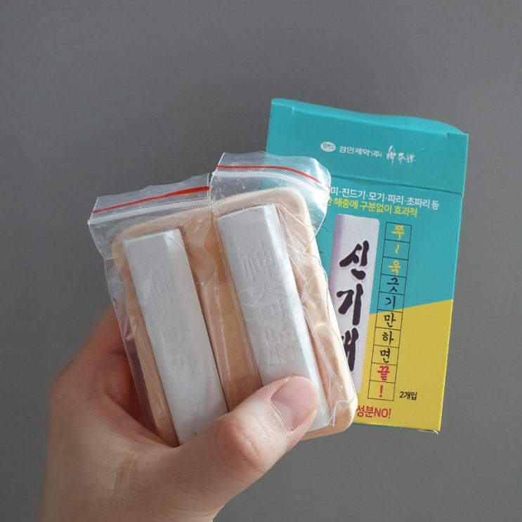  신기패 개미, 바퀴벌레 퇴치 안전하게 집안 벌레 없애는 법!