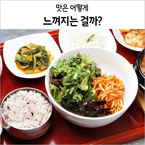  맛은 어떻게 느껴지는 걸까?