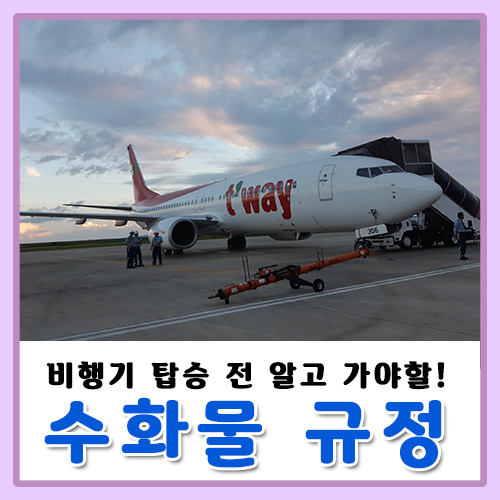  비행기 수화물 규정(기내/위탁), 반입금지, 액체, 보조배터리 등 햇갈리는것들!