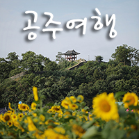  공주 미르섬 백제문화제 꽃구경 제대로~