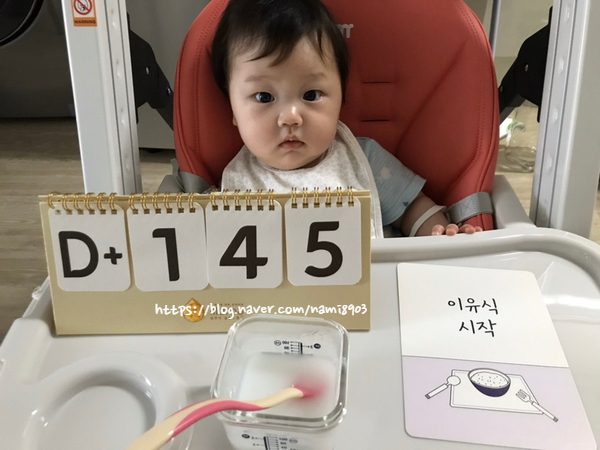  [D+145] 이유식 시작 / 초기1이유식 레시피 / 혼합수유 이유식시기