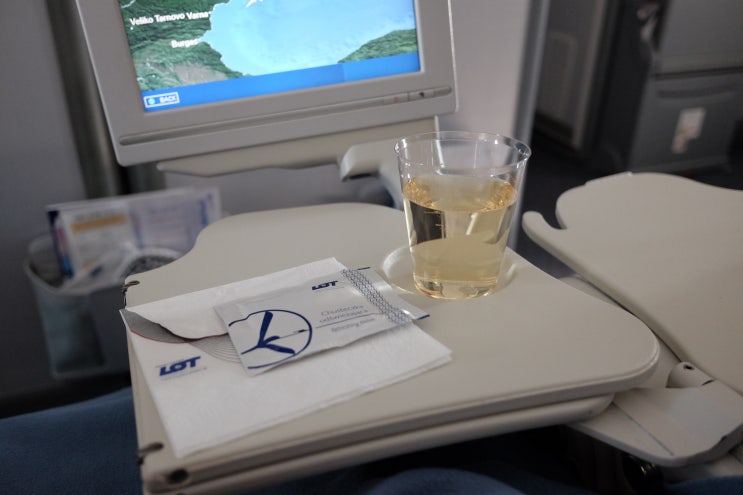  [부다페스트 여행] 폴란드 LOT 항공 후기 (기내식, 비상구 좌석) / 직항 33만원
