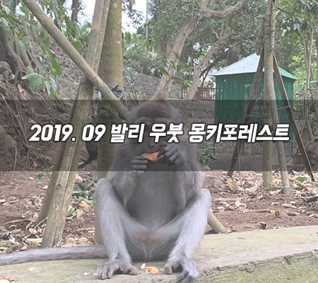  우붓 가볼만한곳 몽키포레스트, 저는 추천!