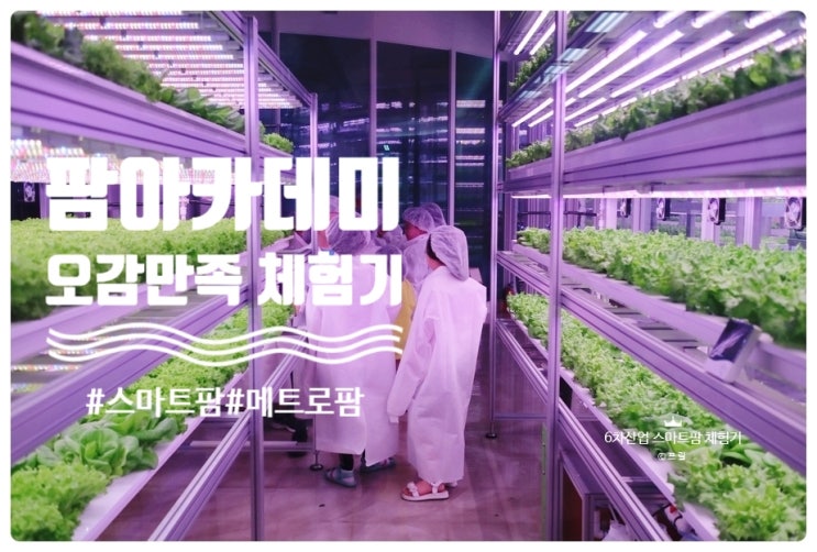  6차산업 Farm8팜아카데미 메트로팜 도전! 키즈 샐러드 쉐프 체험기