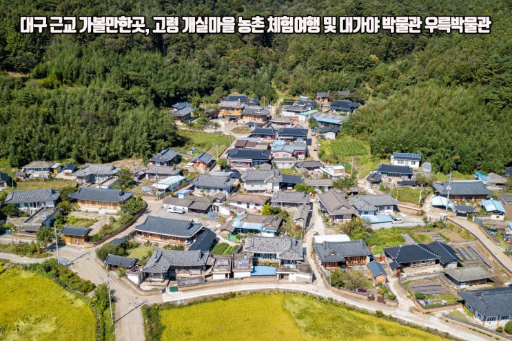  대구 근교 가볼만한곳, 고령 개실마을 농촌 체험여행 및 대가야 박물관 우륵박물관