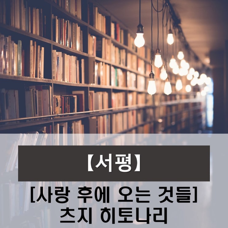  【서평】 그 남자의 사랑 찾기 / 사랑 후에 오는 것들_츠지 히토나리