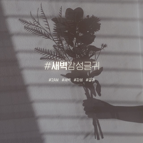  새벽감성글귀 감성 풍부한 2AM