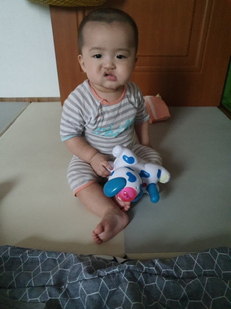 생후259일 알콩이의 하루 생후259일 알콩이의 하루