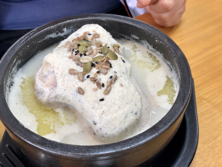  영월맛집, 한식당나무 약콩삼계탕, 곤드레갈비탕, 어린이치즈돈까스 후기