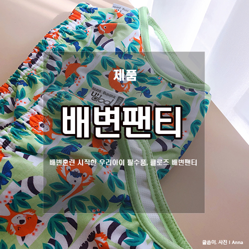  클로즈 배변훈련팬티 :: 23개월 배변시작