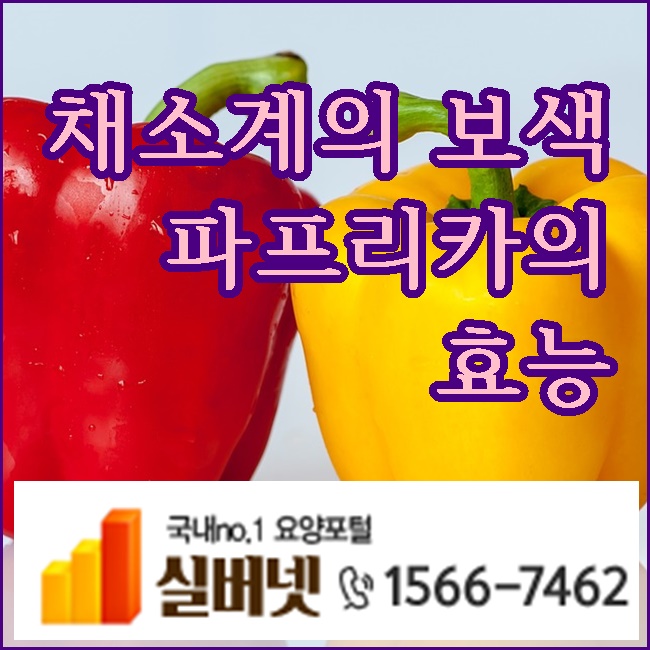  채소계의 보색 파프리카의 효능