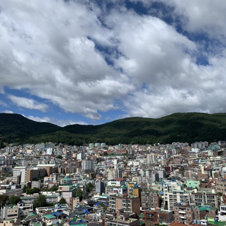  타는남자 우승(11)