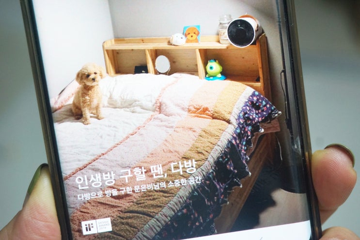  다방허위매물 확인하는 방법