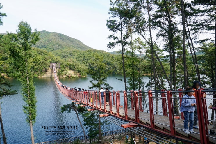  파주 가볼만한곳 마장호수 출렁다리 걷기 좋은 곳이네