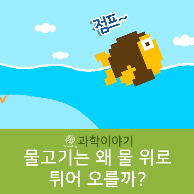  [과학이야기] 물고기는 왜? 물 위로 튀어오를까 - 망둥이가 숭어를 따라 뛰기 어려운 이유까지!