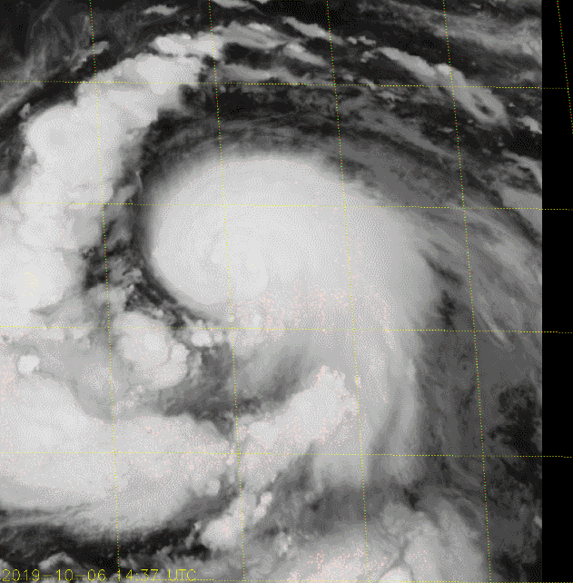 북서 태평양 : 태풍 하기비스 (Typhoon Hagibis) #03