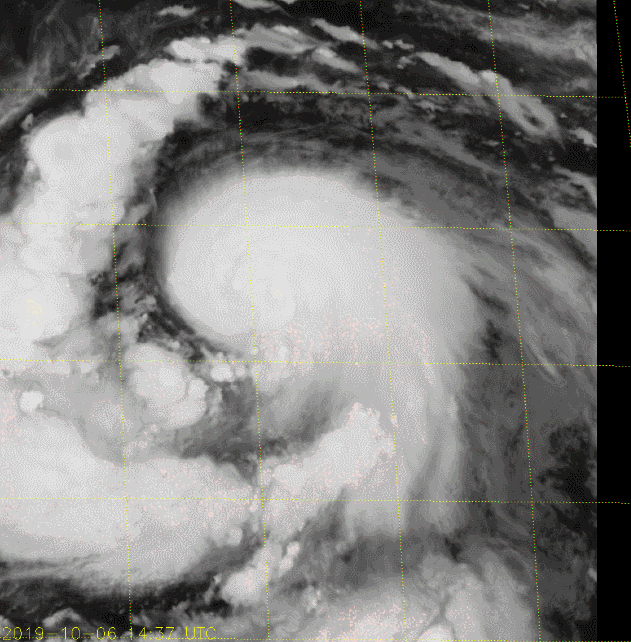  북서 태평양 : 태풍 하기비스 (Typhoon Hagibis) #03
