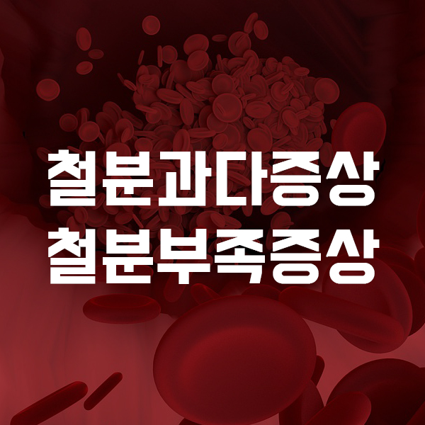  철분부족증상 과다증상이 나타나면 어떻게 될까