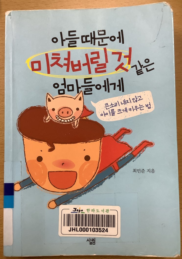  아들때문에 미쳐버릴것 같은 엄마들에게, 최민준