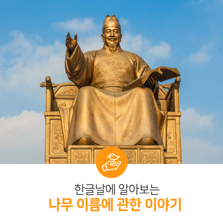  한글날에 알아보는 나무 이름에 관한 이야기