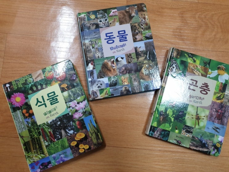  자연관찰책 전집 대용 연두비 포켓도감 3종 최고!