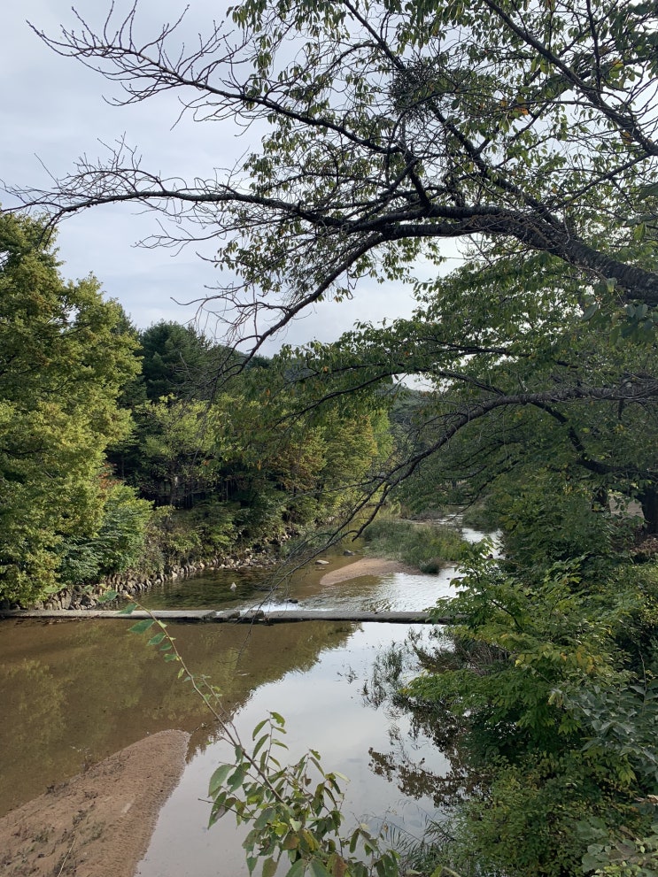  속리산 법주사 팔상전을 보러가다~