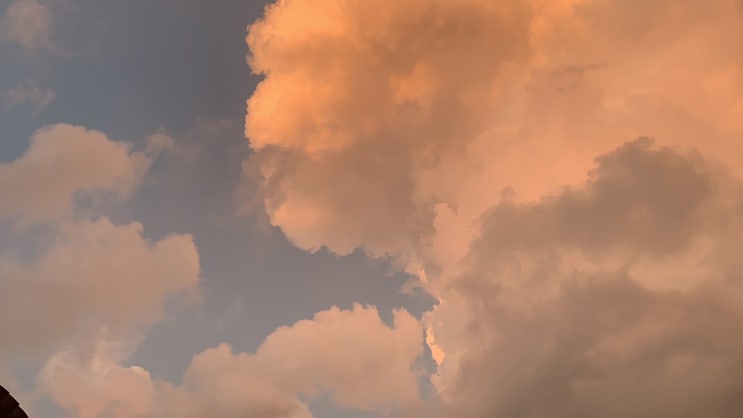  2019-08 E