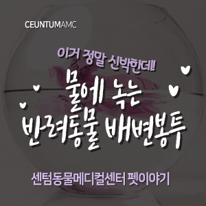  [동물뉴스]이거 정말 신박한데! 물에 녹는 반려동물 배변봉투(부산분과전문동물병원, 365일연중무휴)
