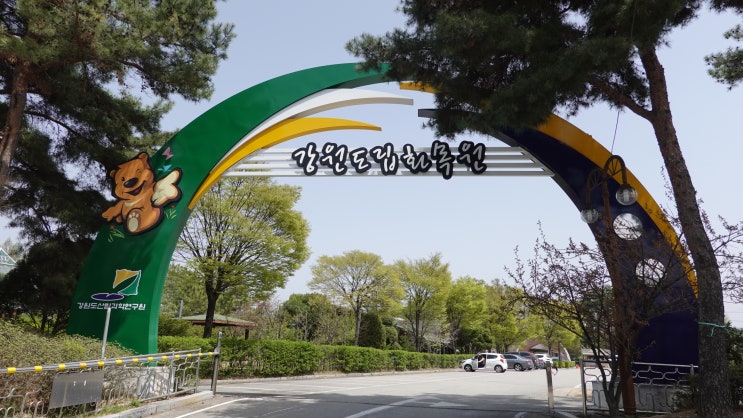  2019 강원도립화목원 국화 전시회! 국화 구경가자~ [춘천 가볼만한곳]