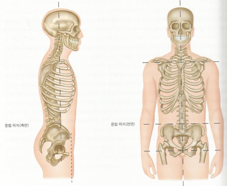  기능적 평가법[기능성운동 자세교정 체형교정 전문 PT 리커버리짐 발산역PT 발산PT 마곡역PT 마곡PT]