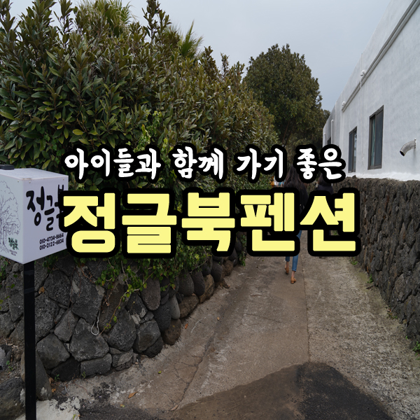 제주 펜션 '정글북' 이정도일줄은!