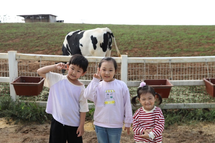  더운 가을날, 안성팜랜드 고고~
