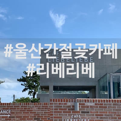  #울산간절곶카페 : 간절곶애견동반해서 가기 좋은 장소 추천