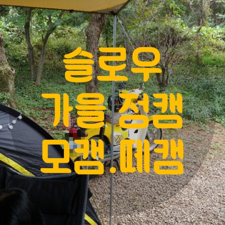  캠핑일기10. 모캠 + 떼캠 = 힐링