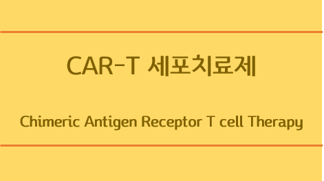  CAR-T 세포 치료제