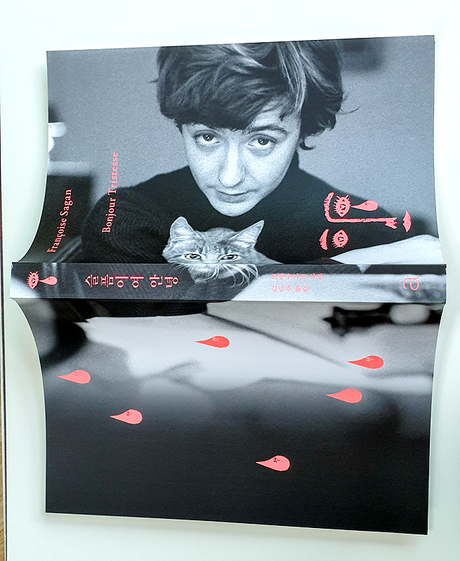  슬픔이여안녕 - 프랑스문학 사강신드롬에 빠지다