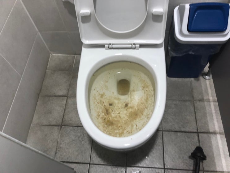  김해 진영 변기막힘 올바른 대처법은?