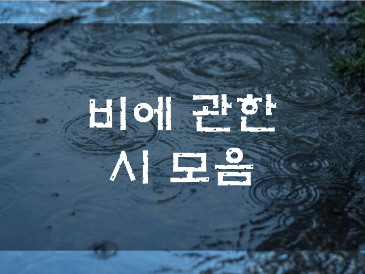  비에 관한 시 모음