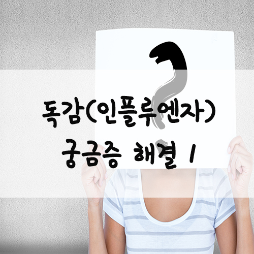  독감(인플루엔자)궁금증 해결1:: 독감(인플루엔자) 감염증상/잠복기,감염력/독감과 감기의차이점/합병증/예방접종시기/예방접종후감염/추가접종