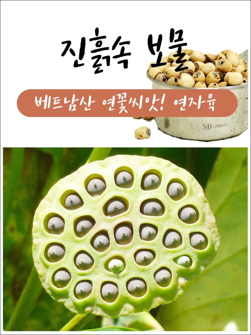 연육볶음 가격 및 연육차 먹는 법(빛꽃씨)